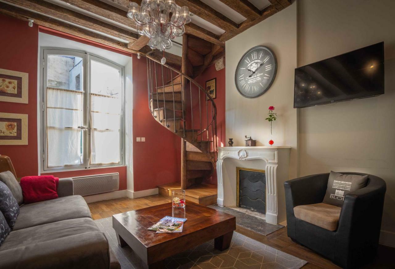 Le Relais Du Petit Lion Διαμέρισμα Μπλουά Εξωτερικό φωτογραφία