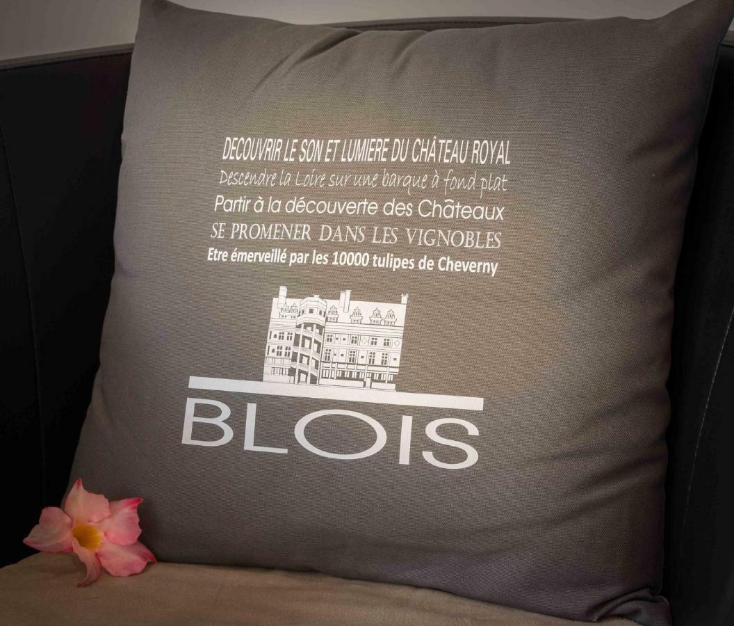 Le Relais Du Petit Lion Διαμέρισμα Μπλουά Εξωτερικό φωτογραφία